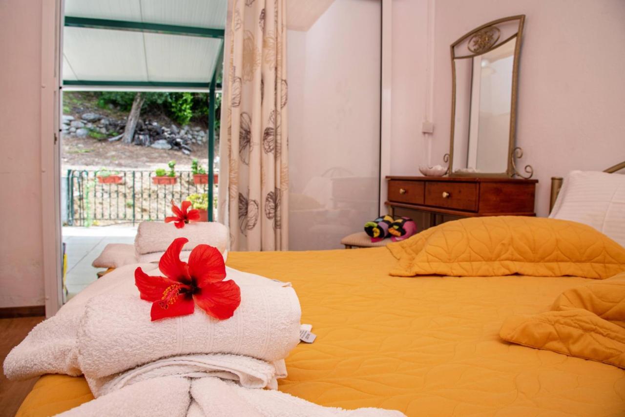 Aliki Apartments Paleokastritsa Zewnętrze zdjęcie